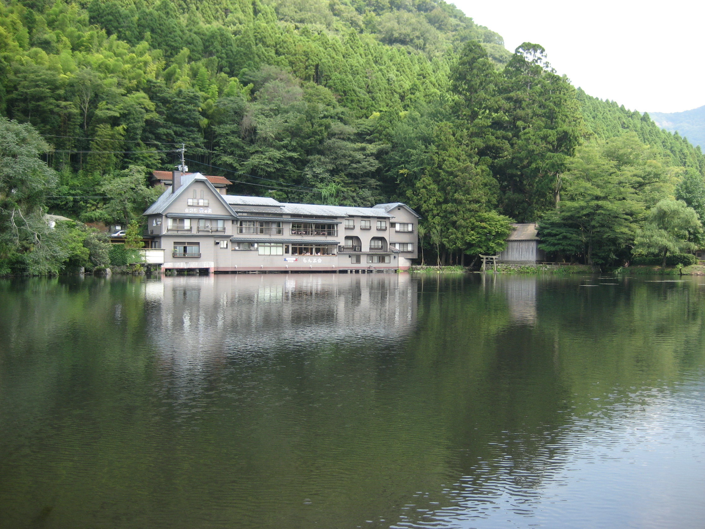 由布院金鱗湖晨霧