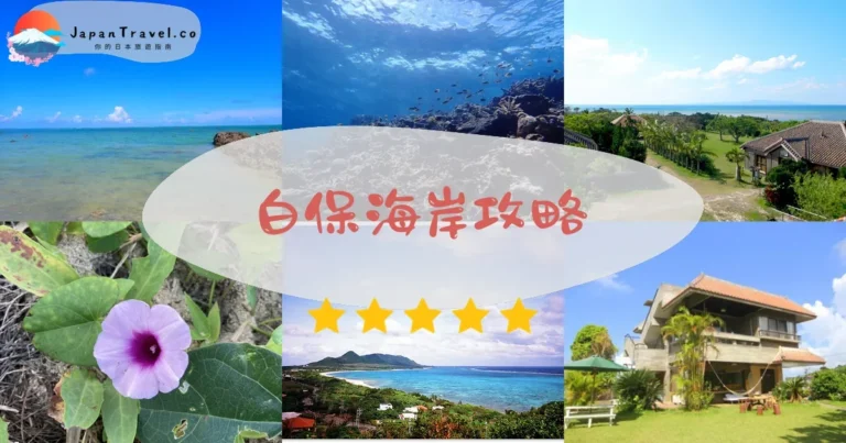 【白保海岸】免費浮潛：藍珊瑚+海龜+交通