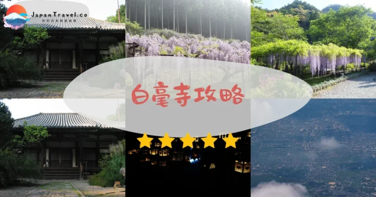 【白毫寺】紫藤¥500+紅葉｜奈良九尺藤花期