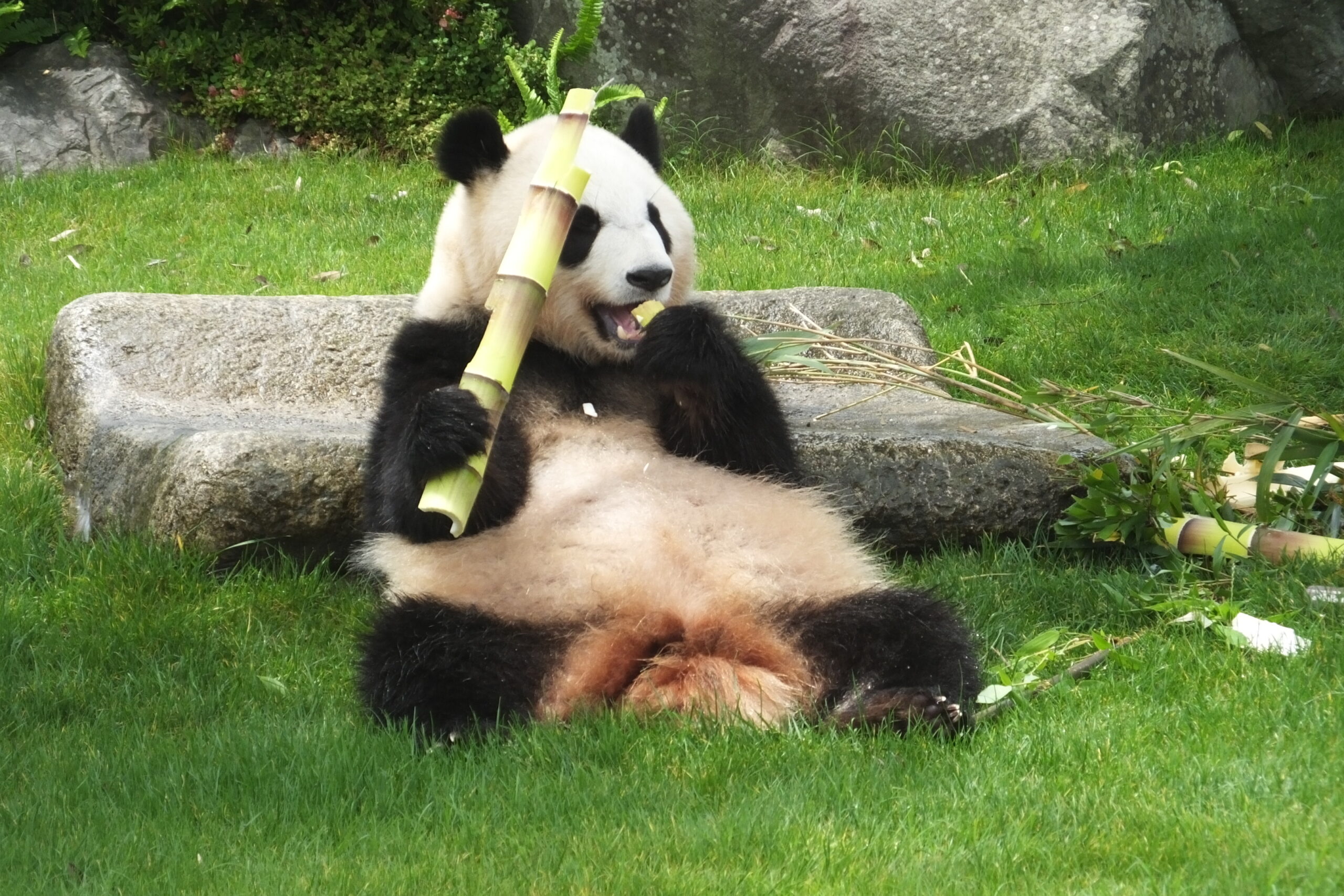 白濱冒險世界入口