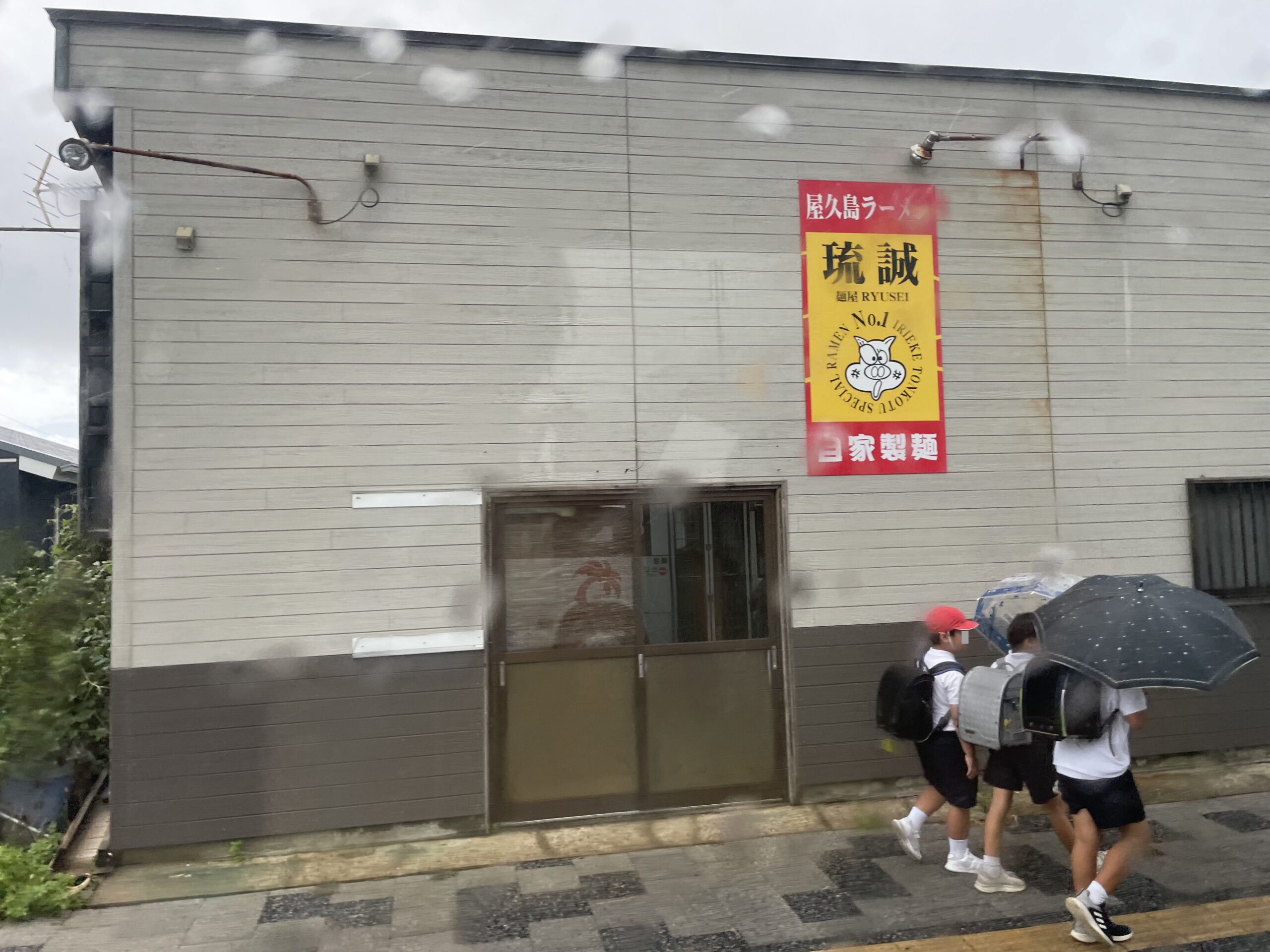 目屋龍星（屋久島）