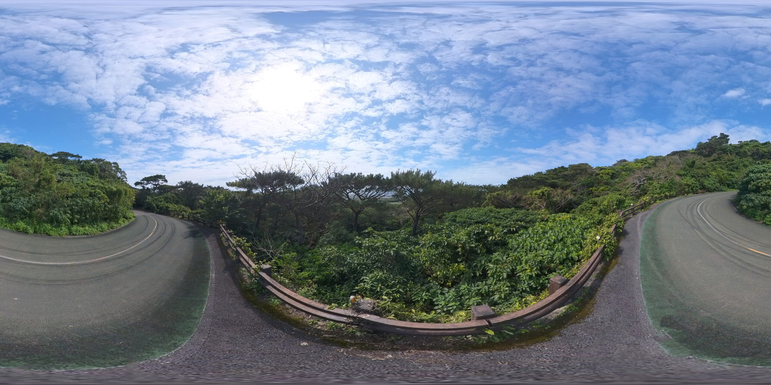 石垣島，八重山公園道路
