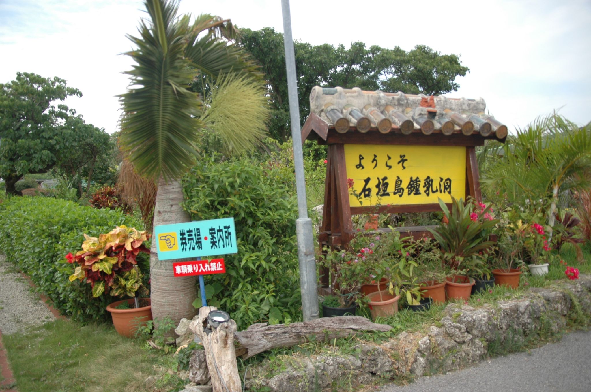 石垣島石灰岩洞入口