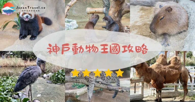 【神戶動物王國】門票¥2,000+交通｜水豚互動