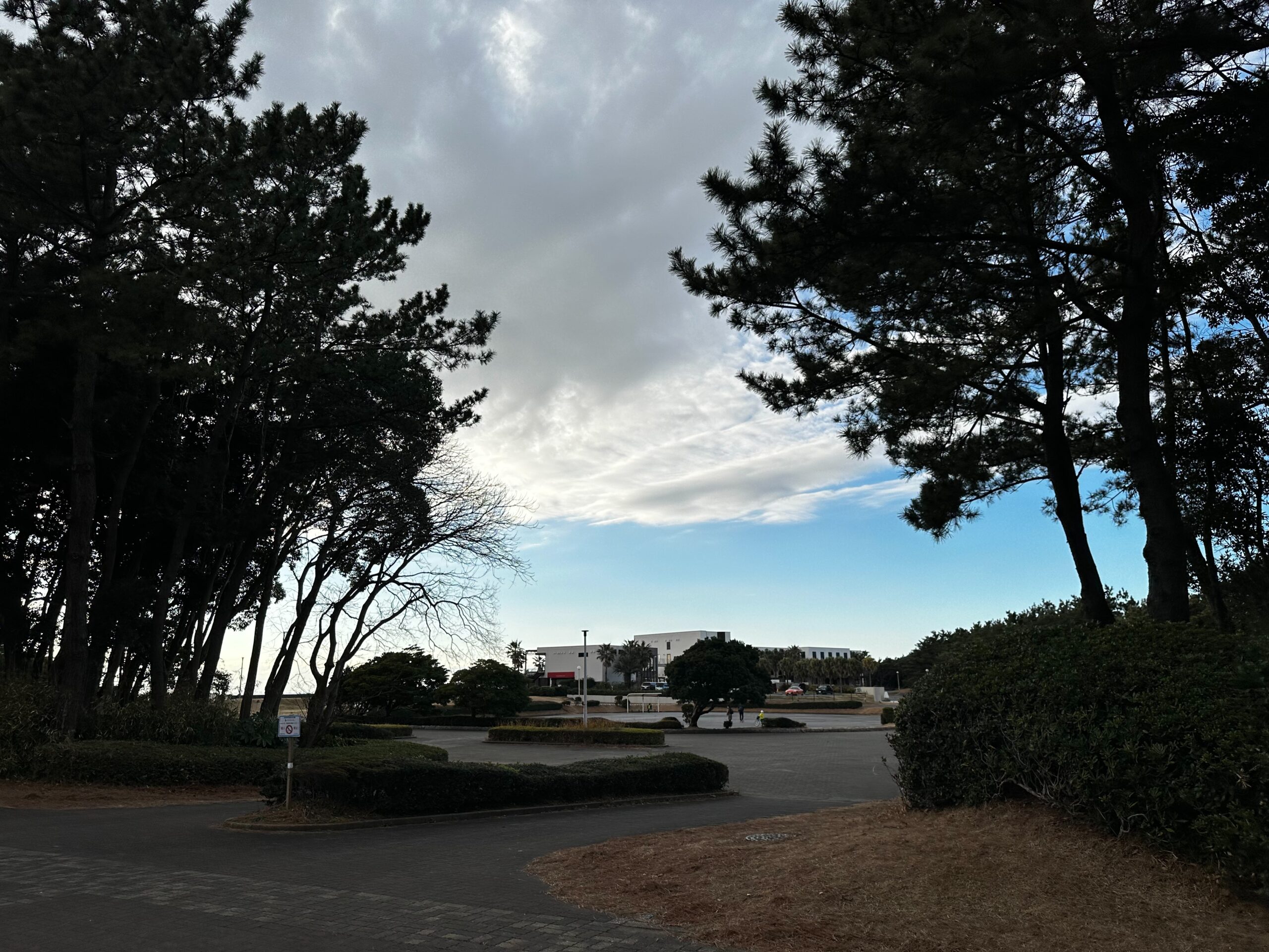 稻毛海濱公園全景