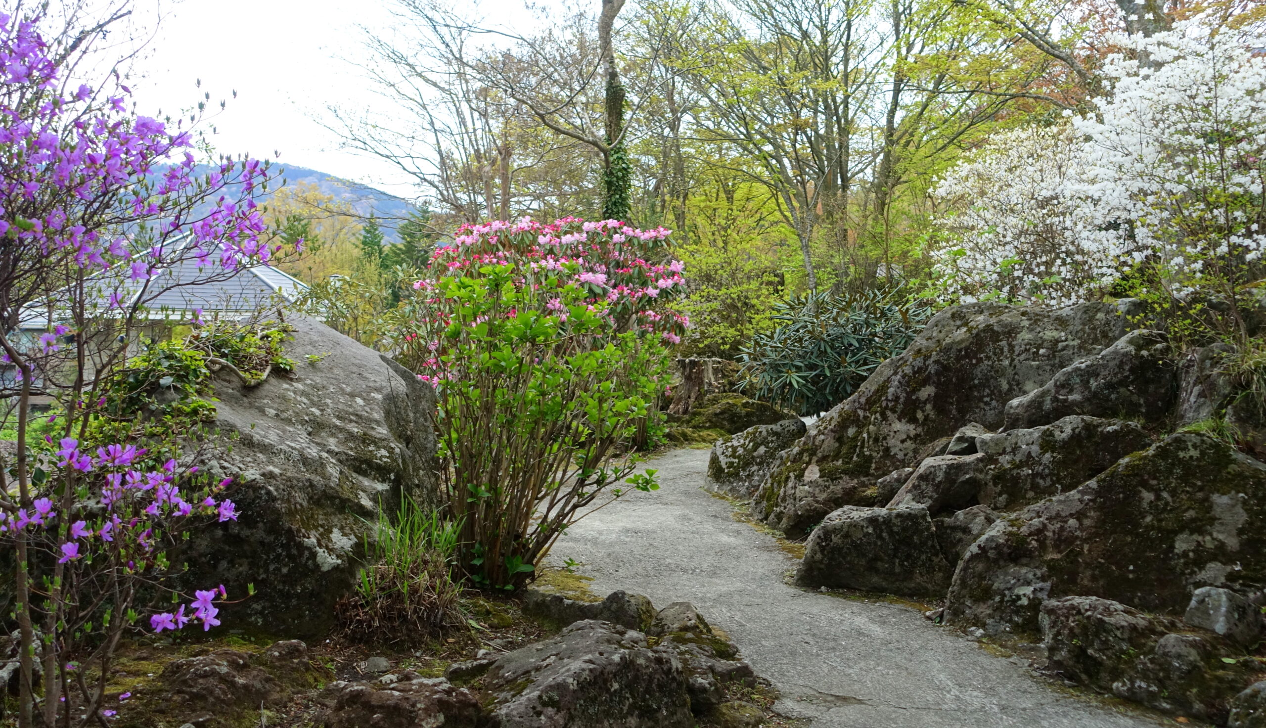 箱根蘆之湖公園 - 日本神奈川縣