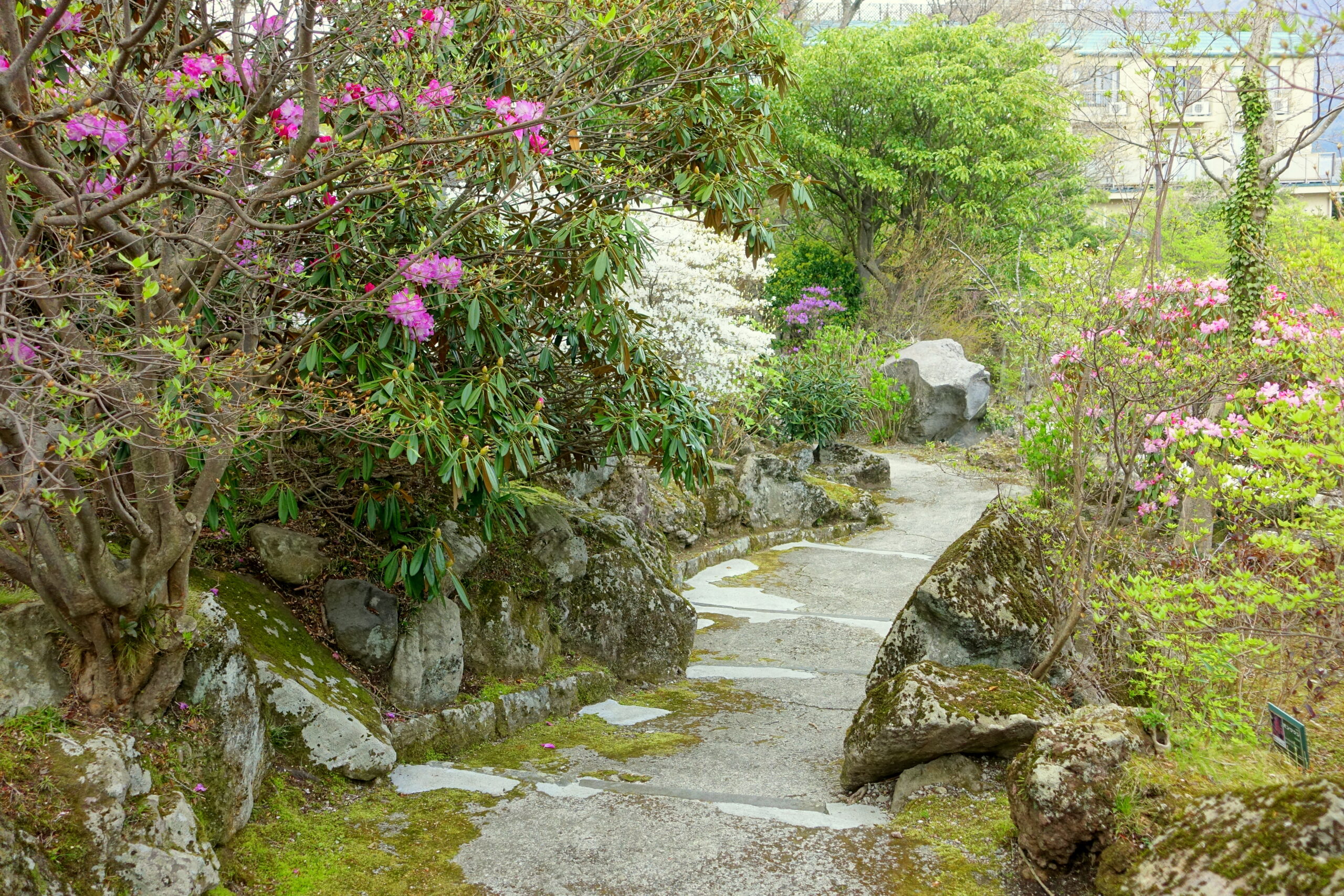 箱根蘆之湖公園 - 日本神奈川縣