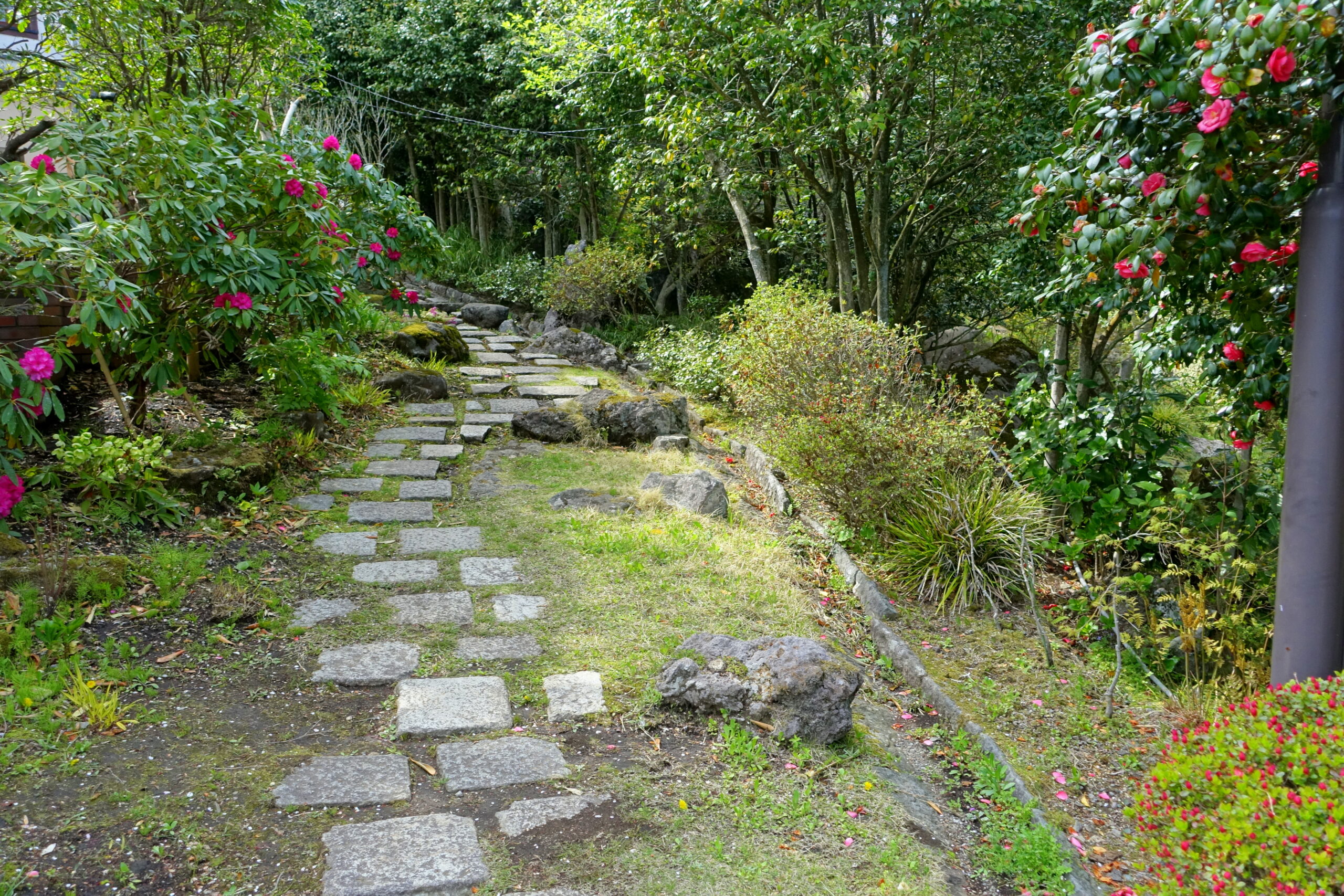 箱根蘆之湖公園步道