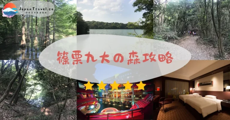 【篠栗九大の森】免費參觀：水中落羽松+交通+最佳季節