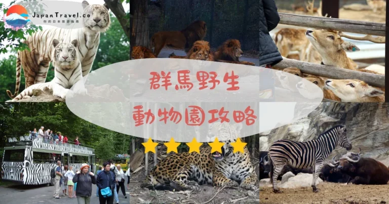 【群馬野生動物園】門票¥2,900｜自駕獅子區+白老虎