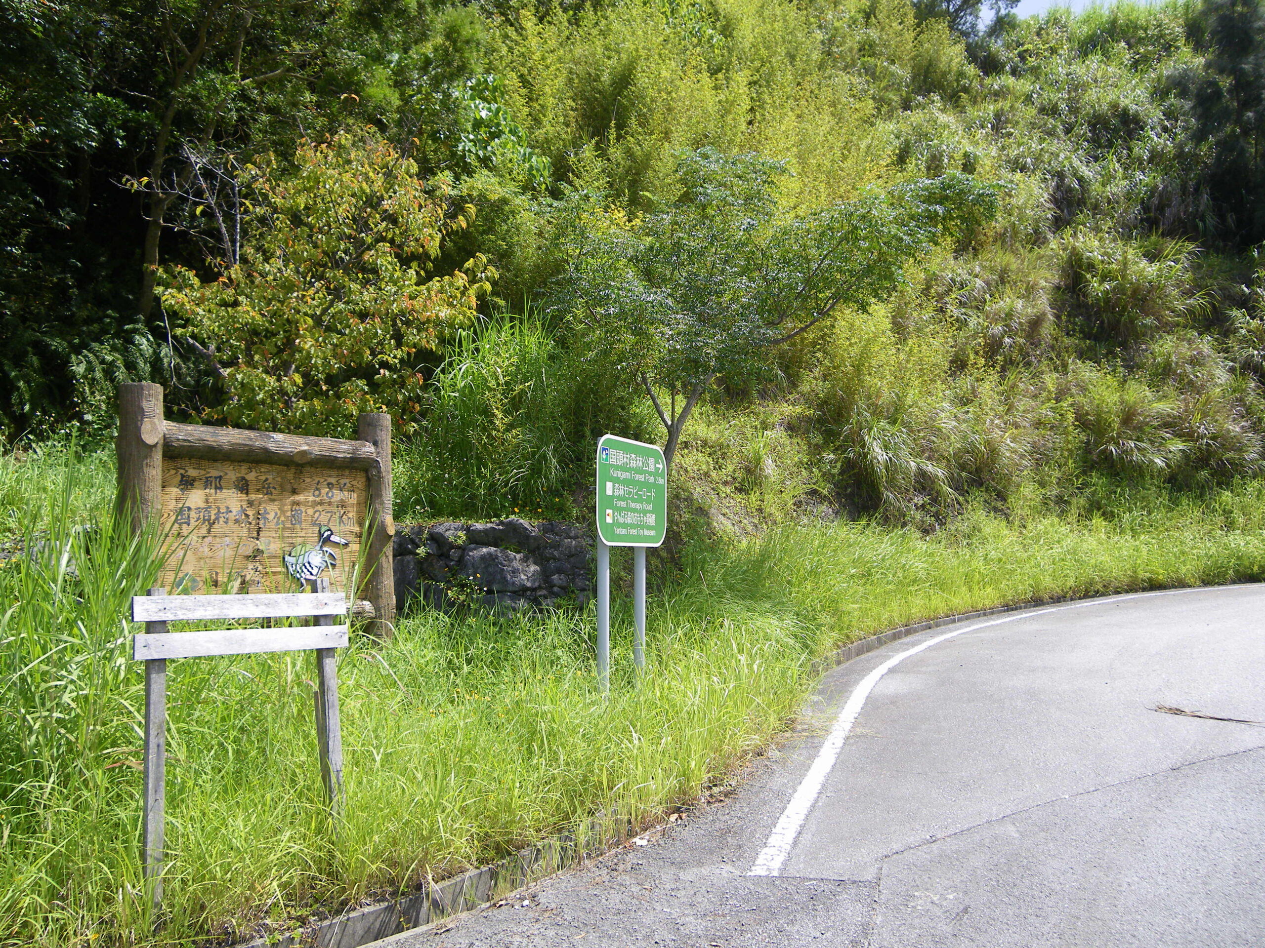 與那霸山與國頭森林公園入口