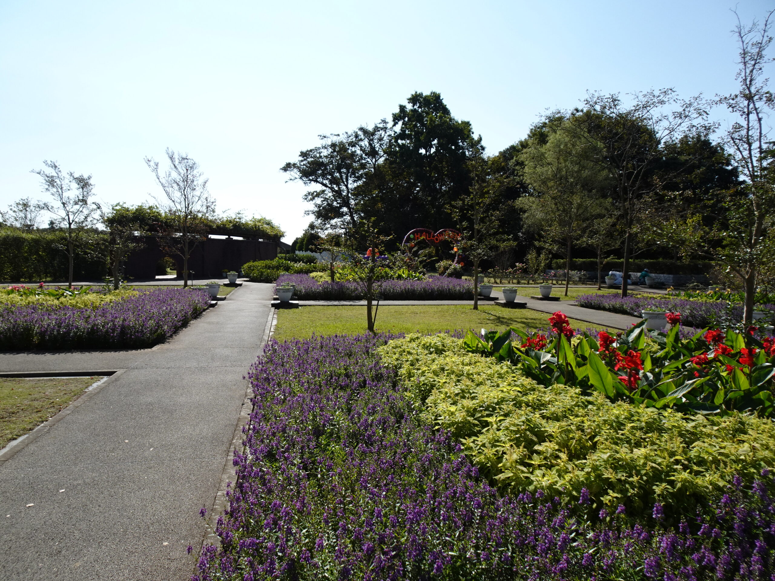 船橋安徒生公園 16