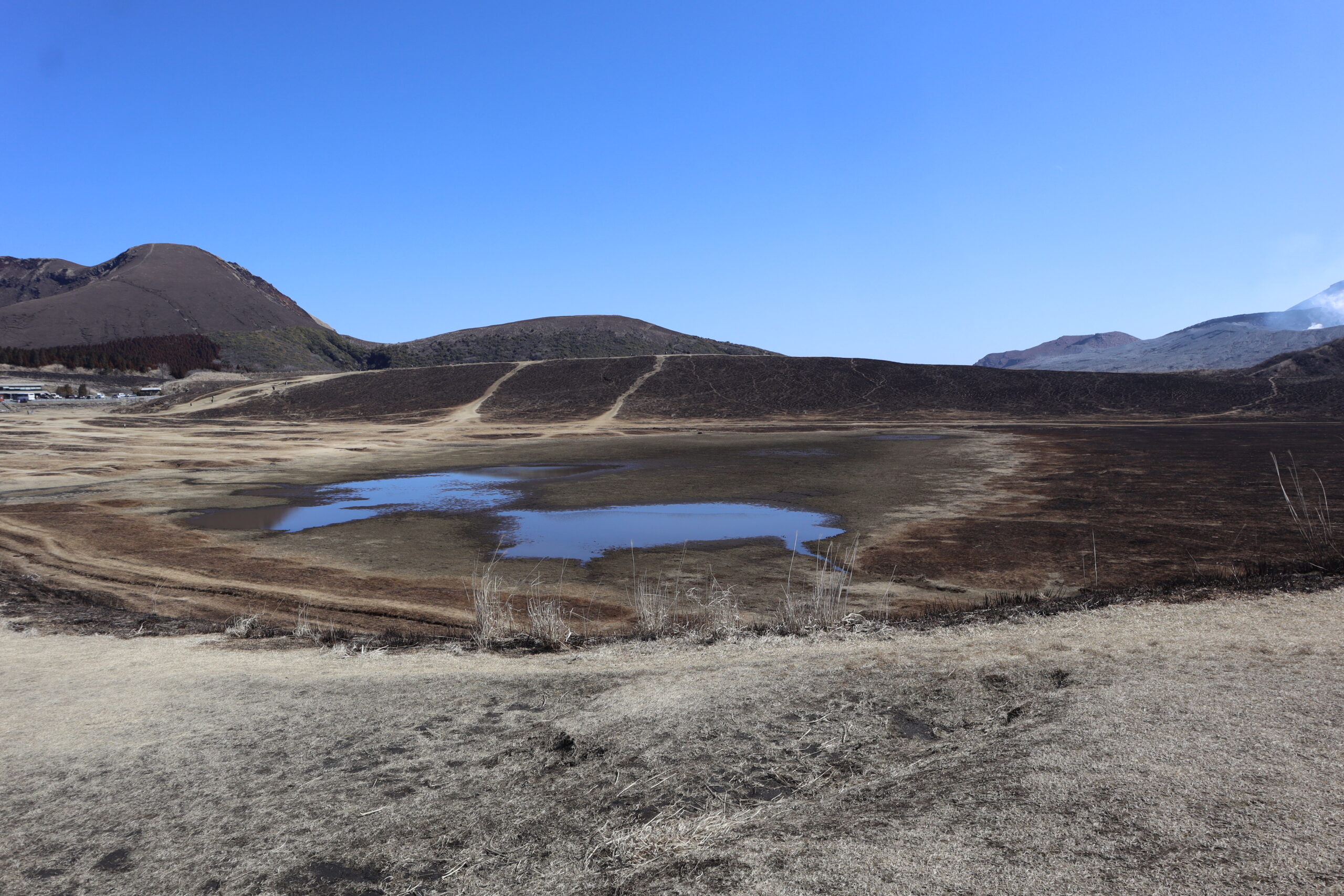 草千里之濱全景,展示廣闊的綠色草原、背景的烏帽子岳和池塘