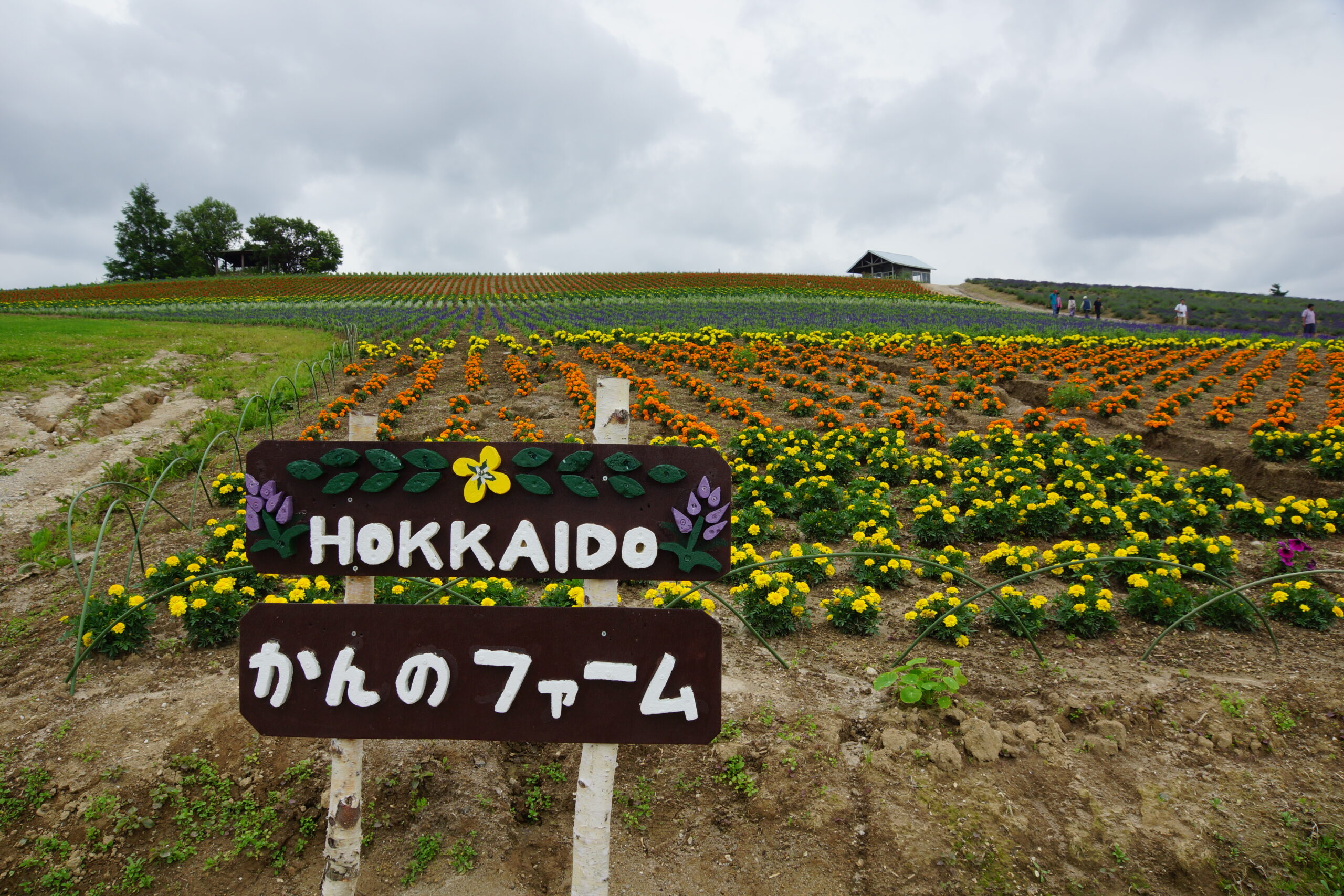 菅野農場工作室