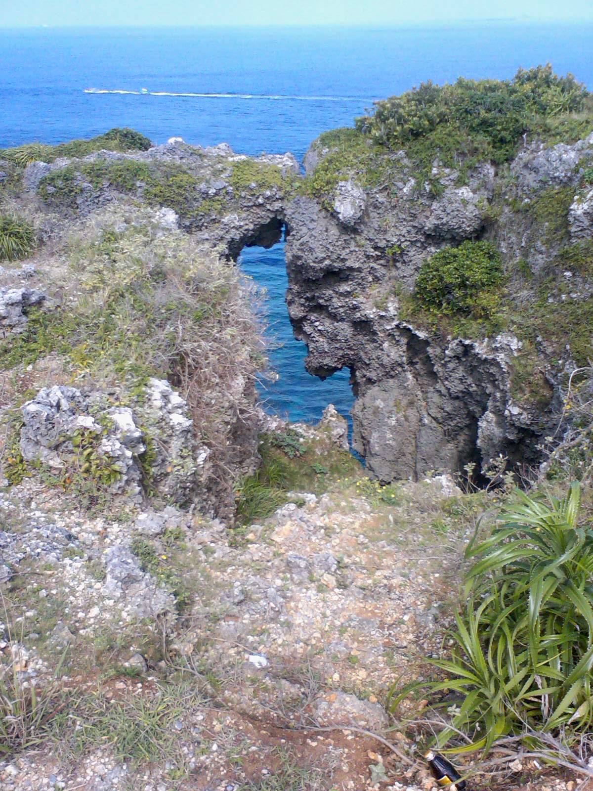 萬座毛象鼻岩全景