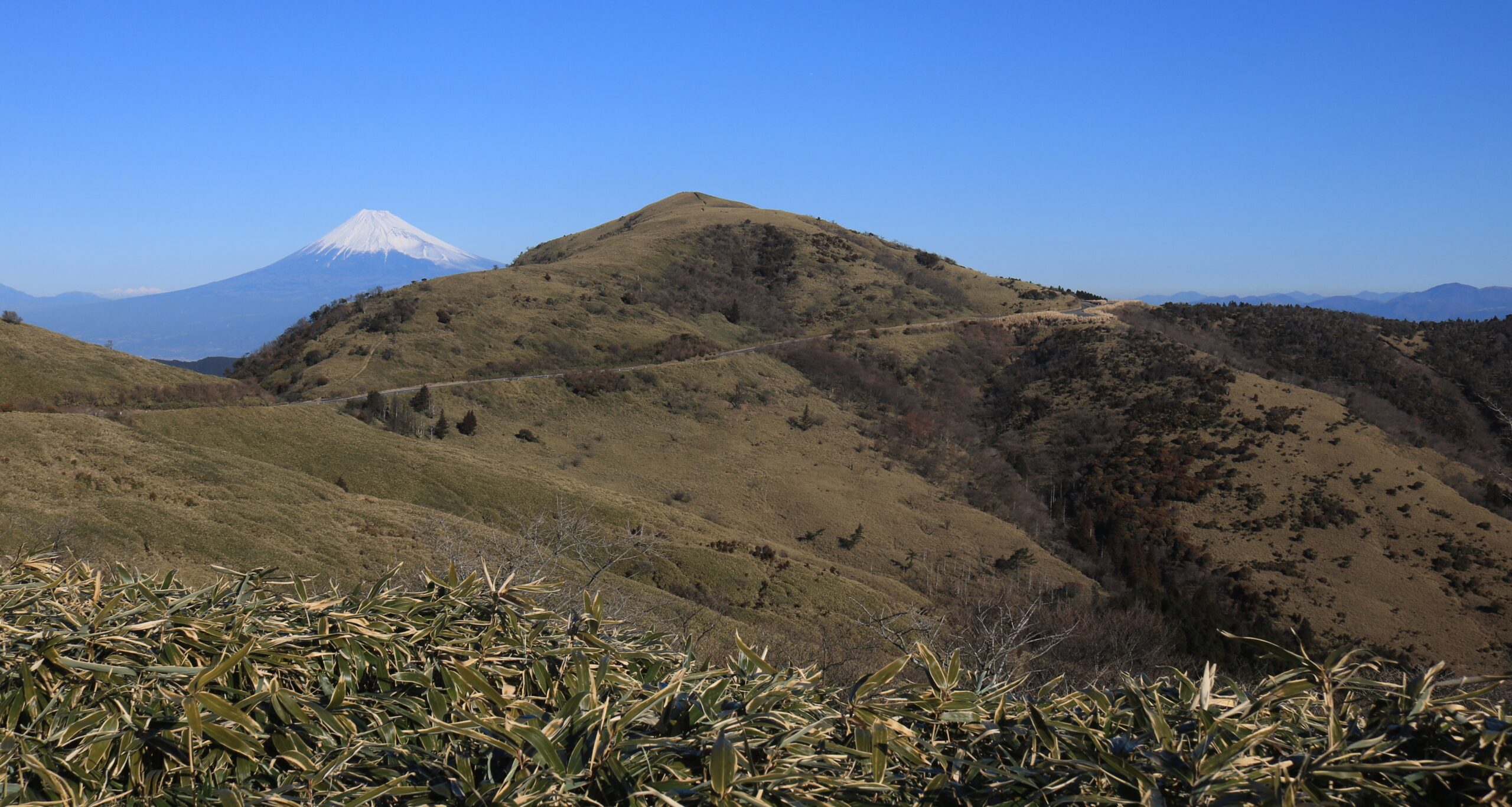 西伊豆公路富士山景觀