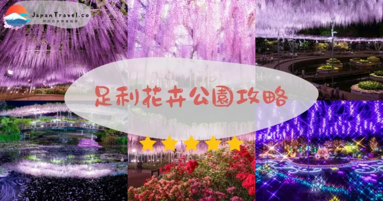 足利花卉公園紫藤花2026：4月中旬盛開｜350株百年老樹、門票¥2,100、東京90分直達