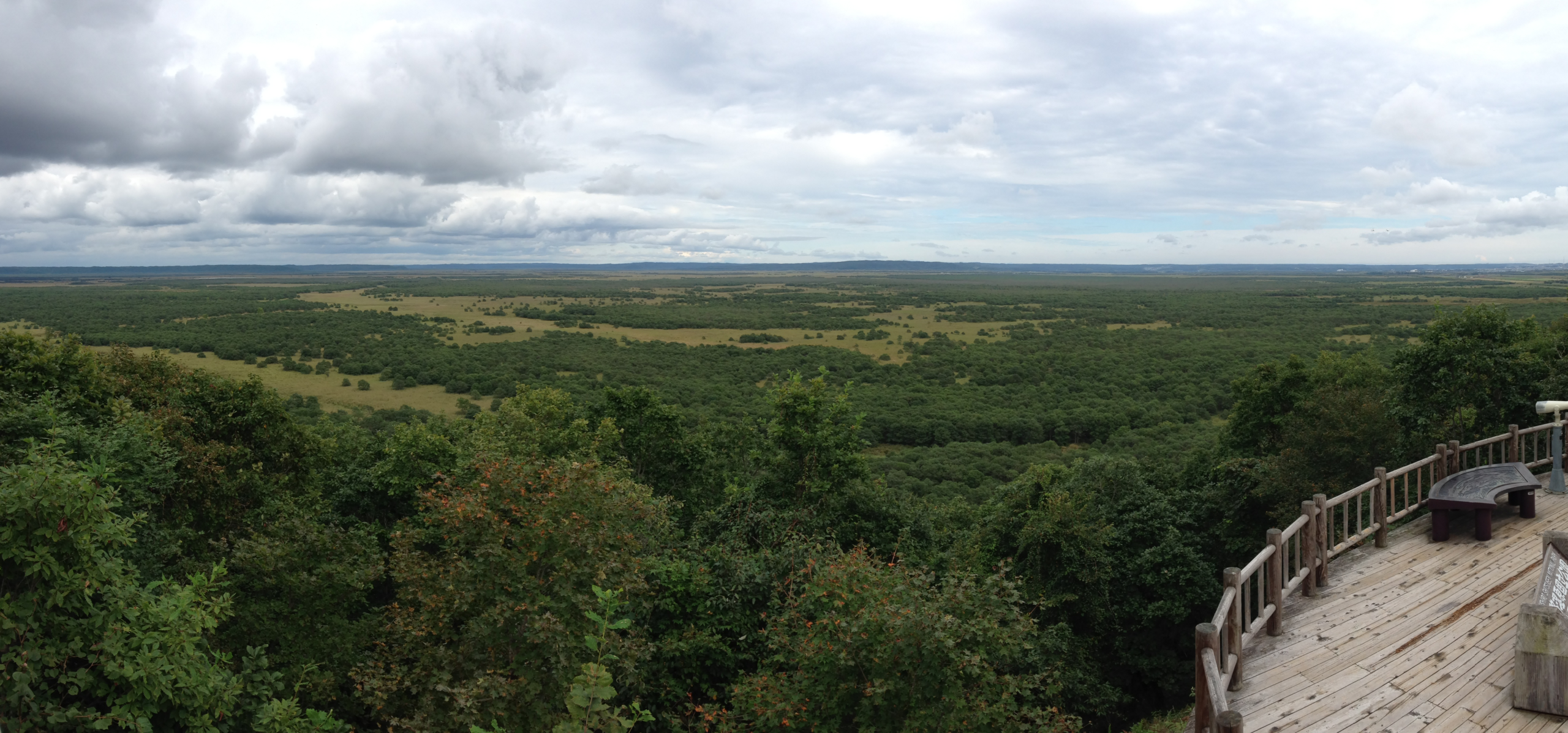 釧路濕地全景，北海道