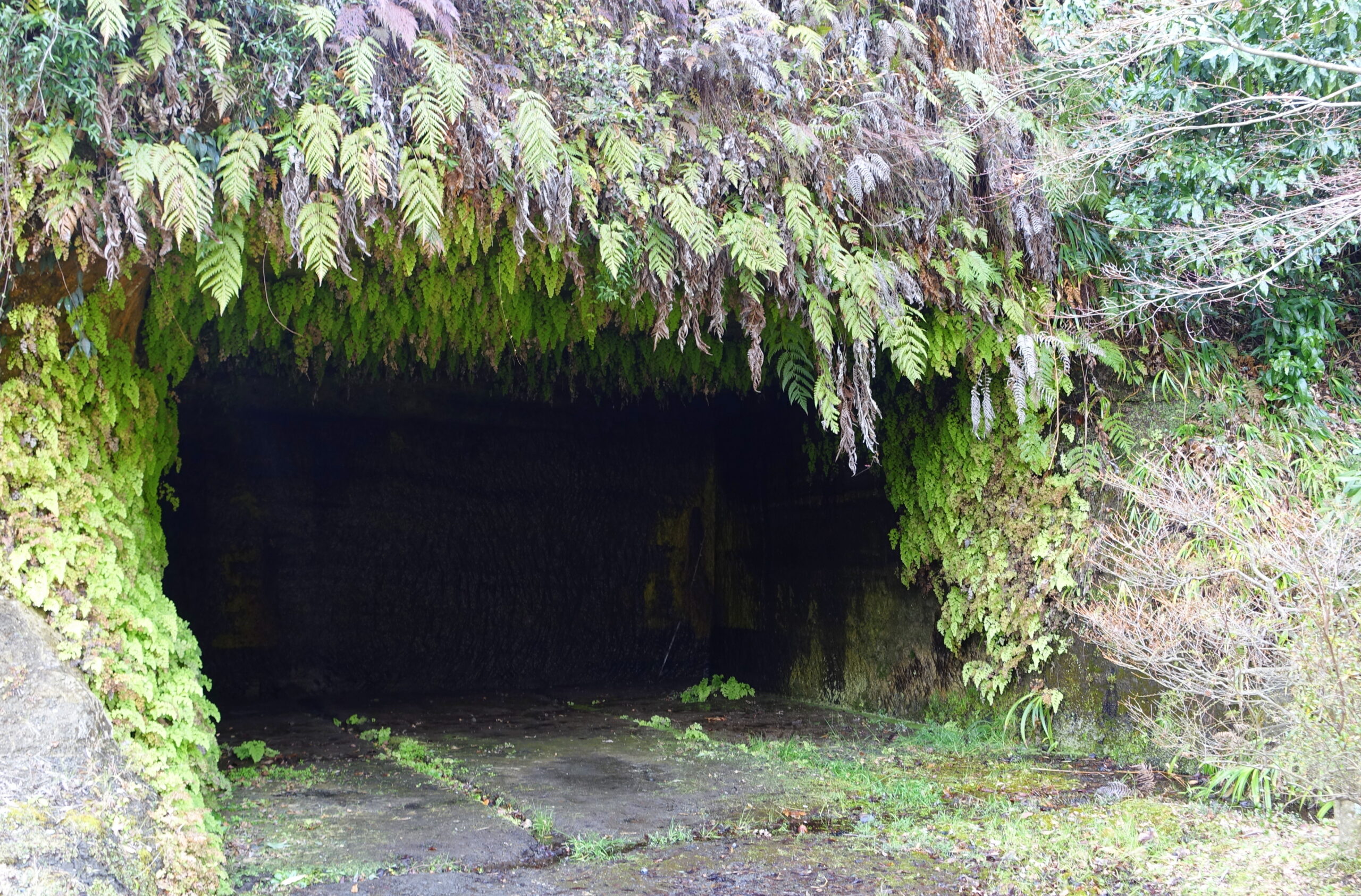 鎌倉永勝寺洞穴