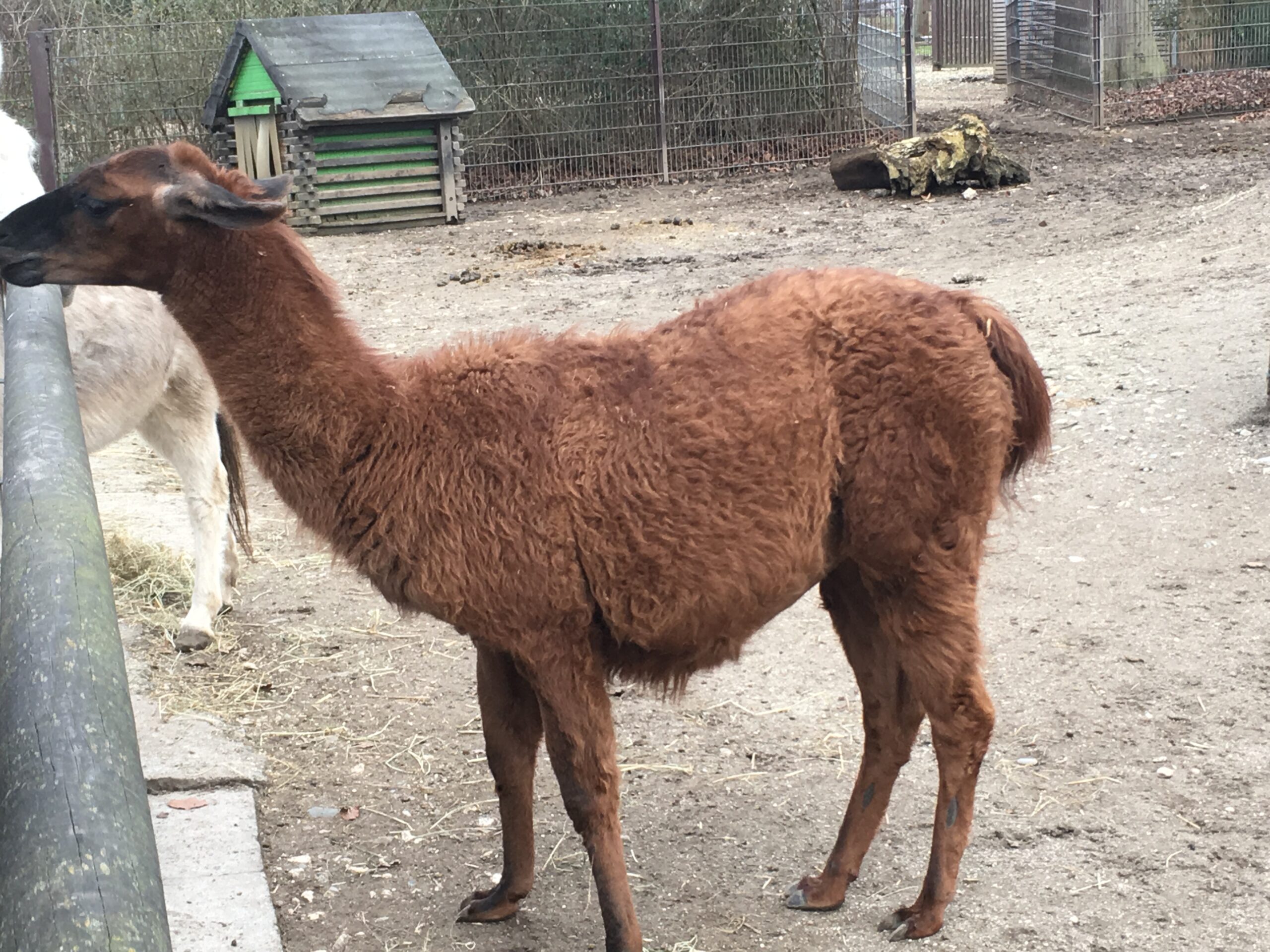 長崎生物公園小動物互動區