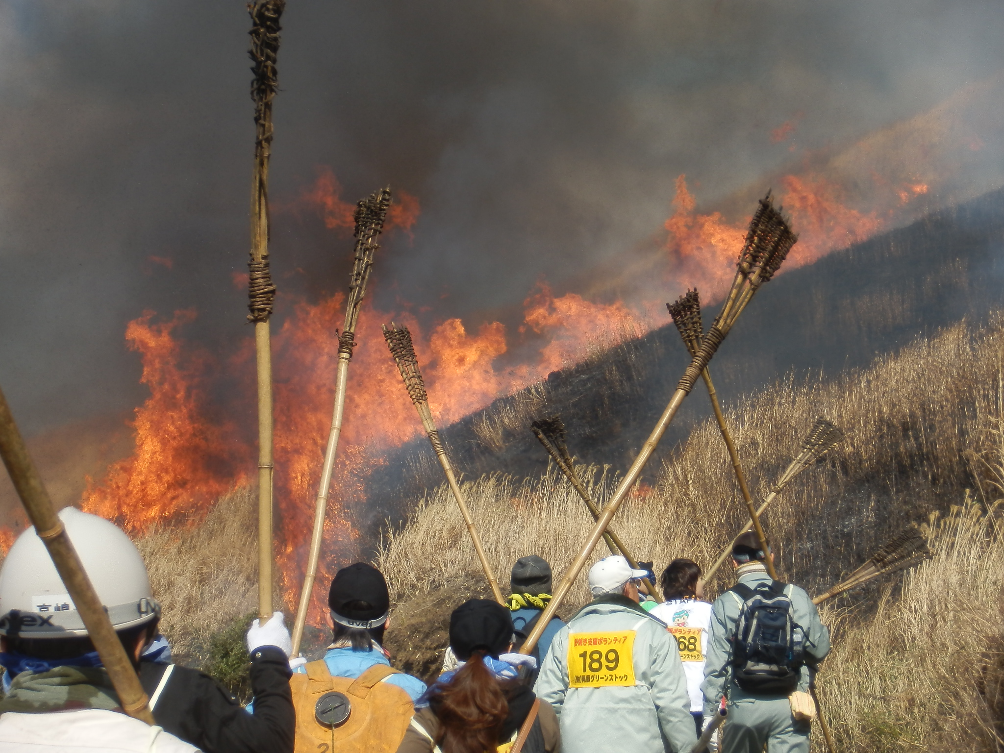 阿蘇の草原の野焼き