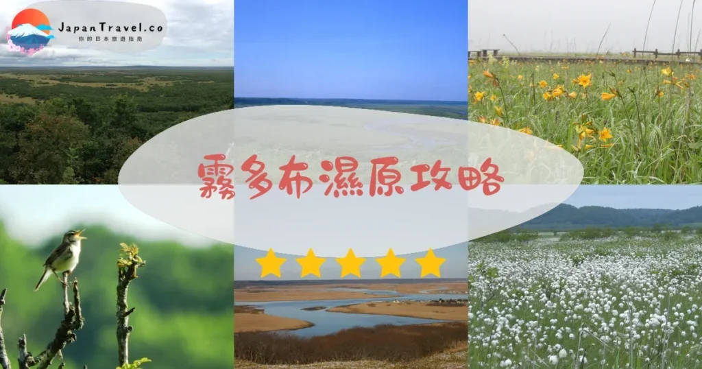 釧路霧多布濕原攻略 - 完整遊覽指南 | JapanTravel.co