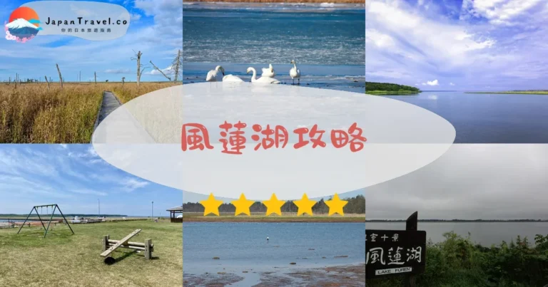 【風蓮湖】7,000隻白鳥越冬：免費觀賞+交通
