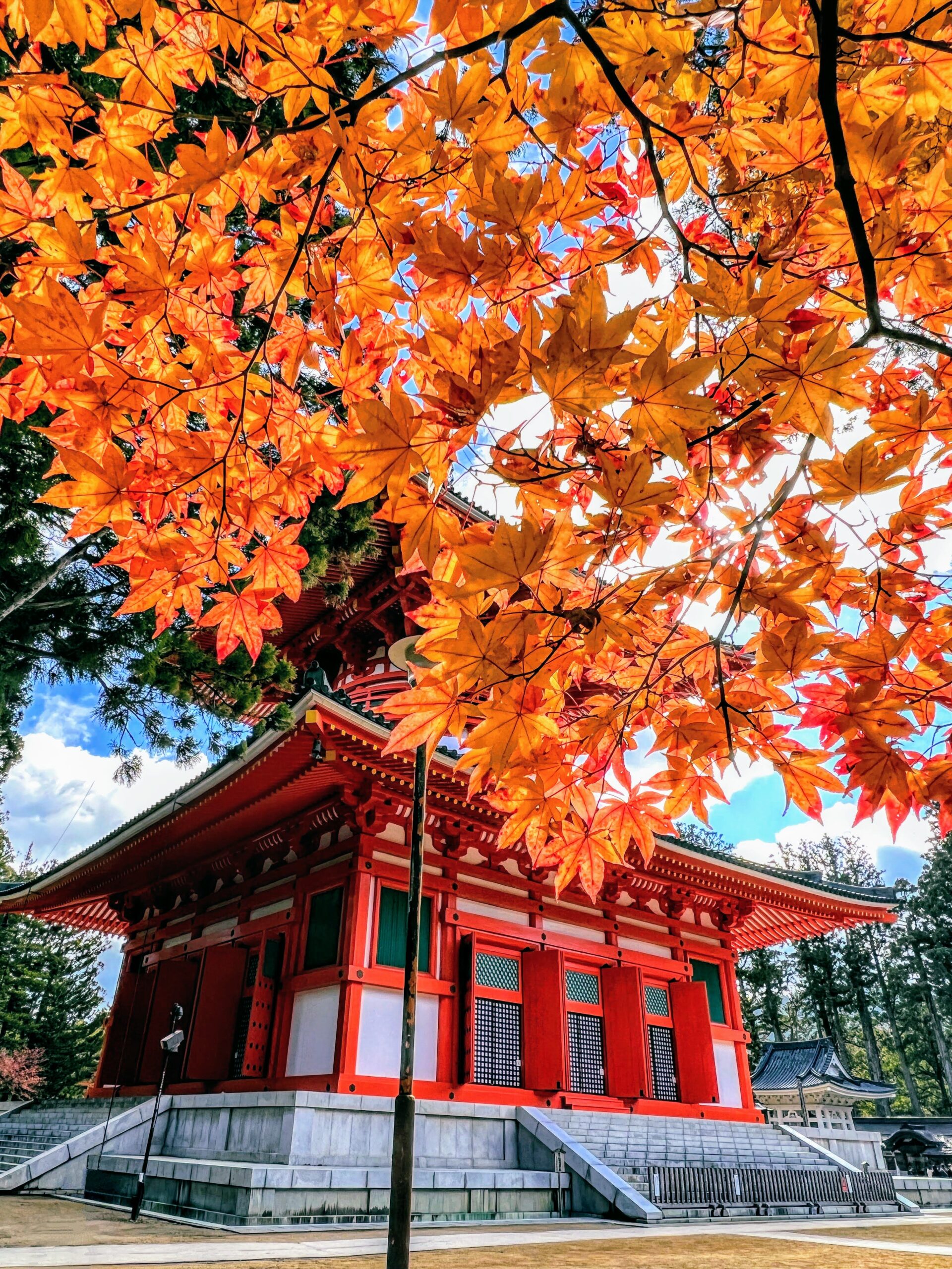 高野山金剛峰寺壇上伽藍的根本大塔(秋季)