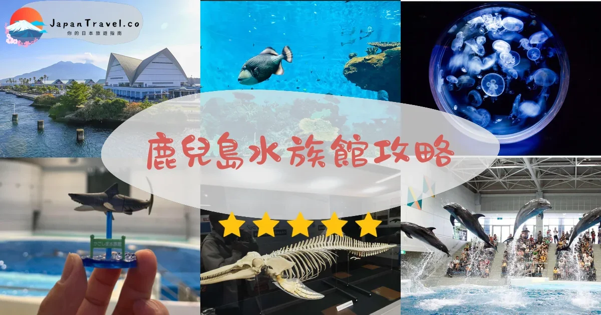 鹿兒島鹿兒島水族館攻略 - 完整遊覽指南 | JapanTravel.co
