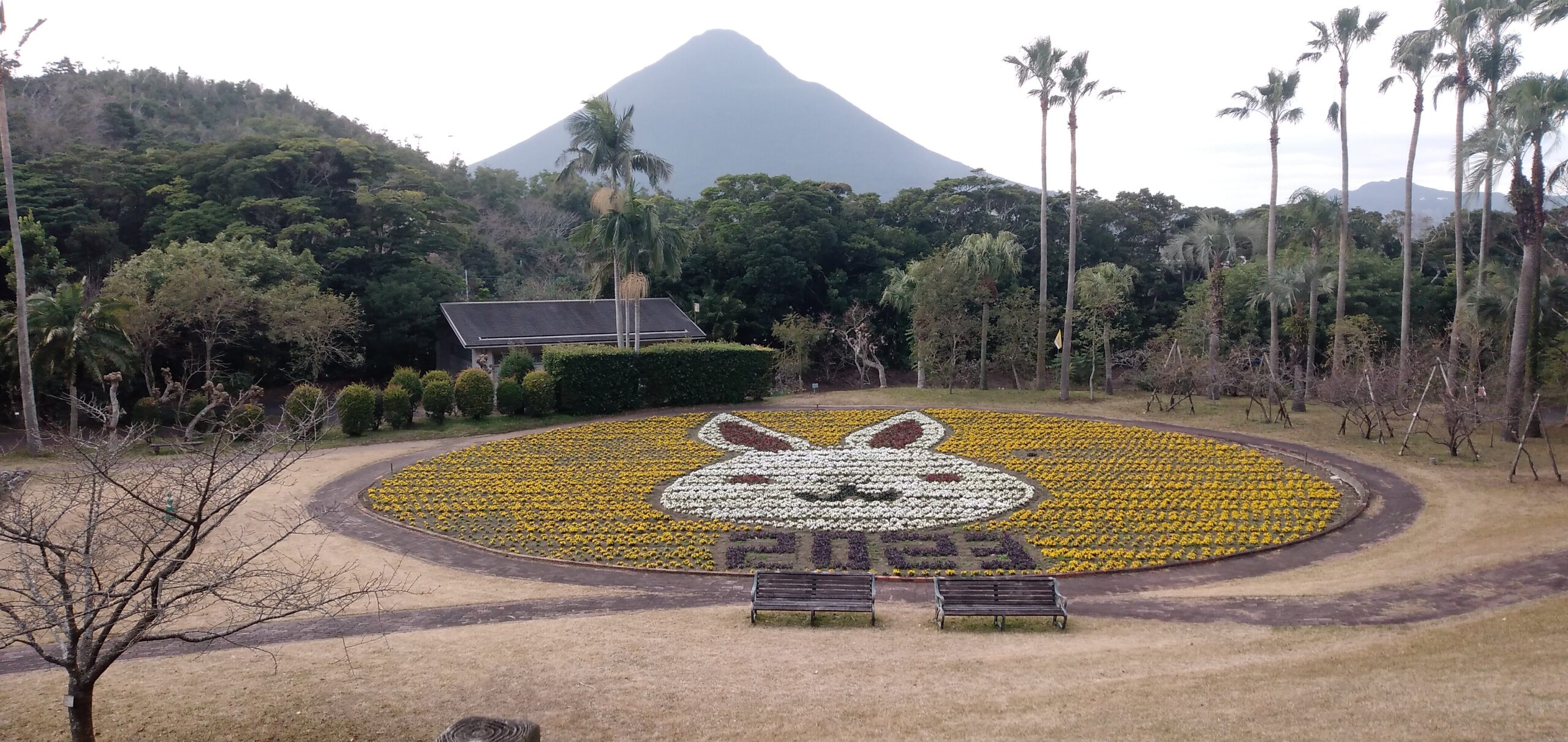 鹿兒島麵粉公園