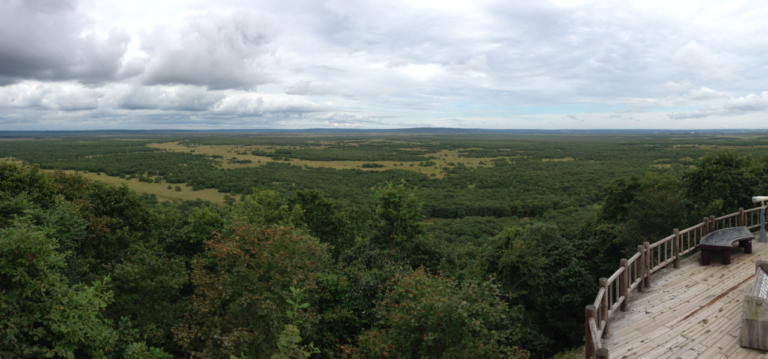 【龍宮神社】2026完整攻略：門票+交通+必看亮點