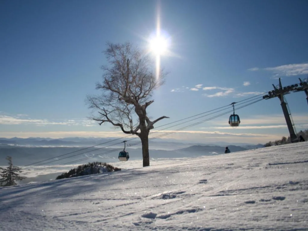 富良野Natulux飯店(Furano Natulux Hotel)大阪酒店照片 5/5
