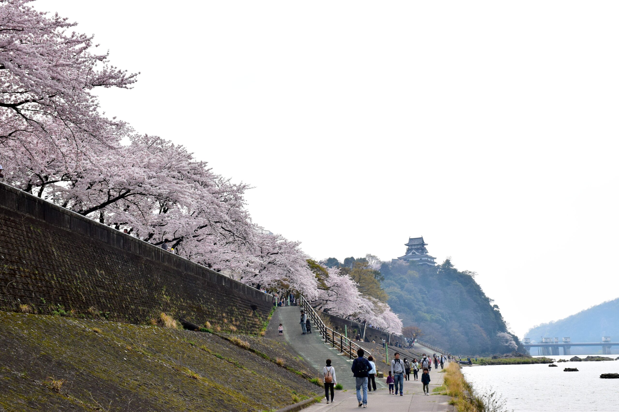 木曾川畔犬山城東側景觀