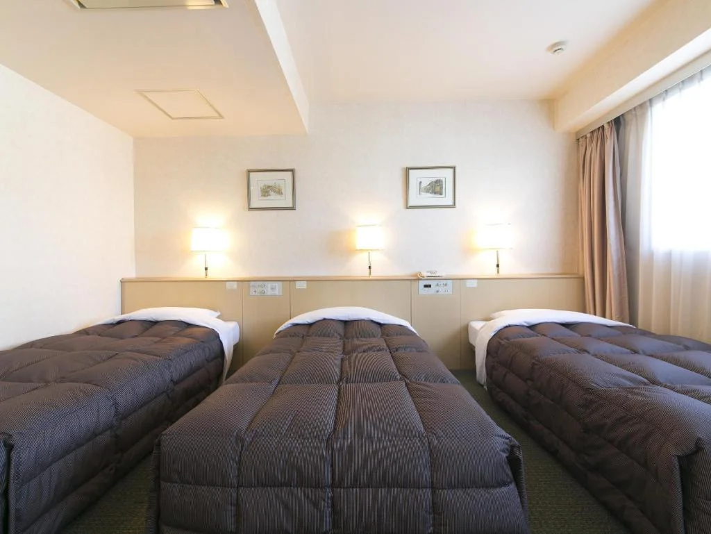 Hida Takayama Washington Hotel Plaza 高山住宿照片 (2)