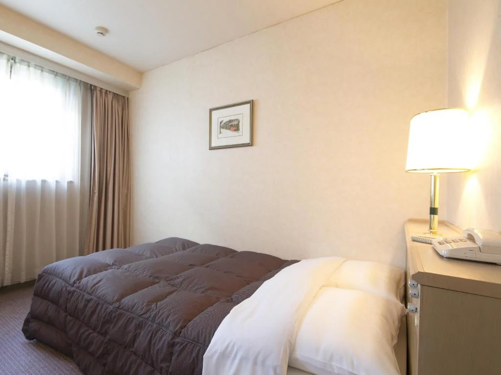 Hida Takayama Washington Hotel Plaza 高山住宿照片 (5)