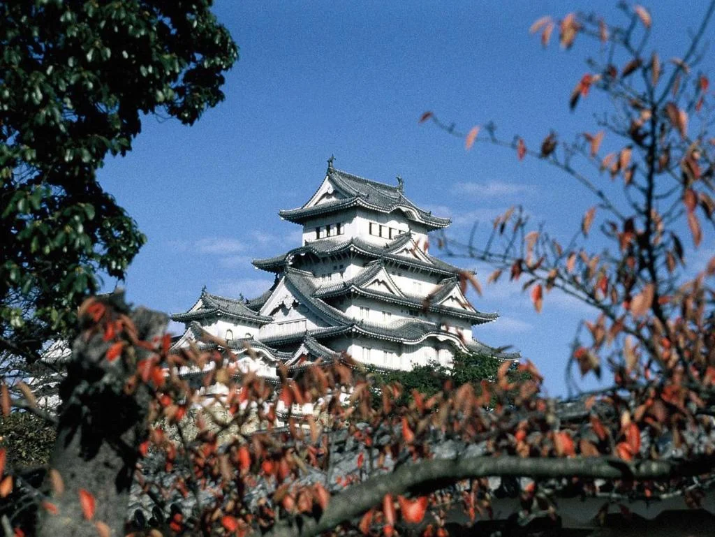 Hotel Livemax Himeji Ekimae 姬路住宿照片 (4)