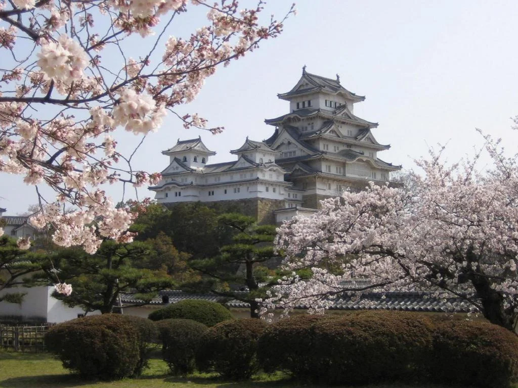 Hotel Livemax Himeji Ekimae 姬路住宿照片 (5)