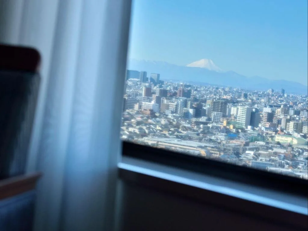 東京大都會酒店（Hotel Metropolitan Tokyo Ikebukuro）酒店照片 3/5