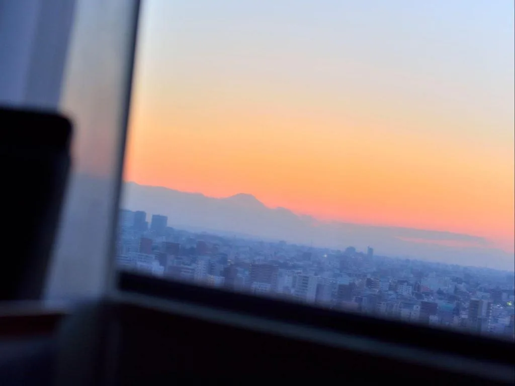 東京大都會酒店（Hotel Metropolitan Tokyo Ikebukuro）酒店照片 4/5