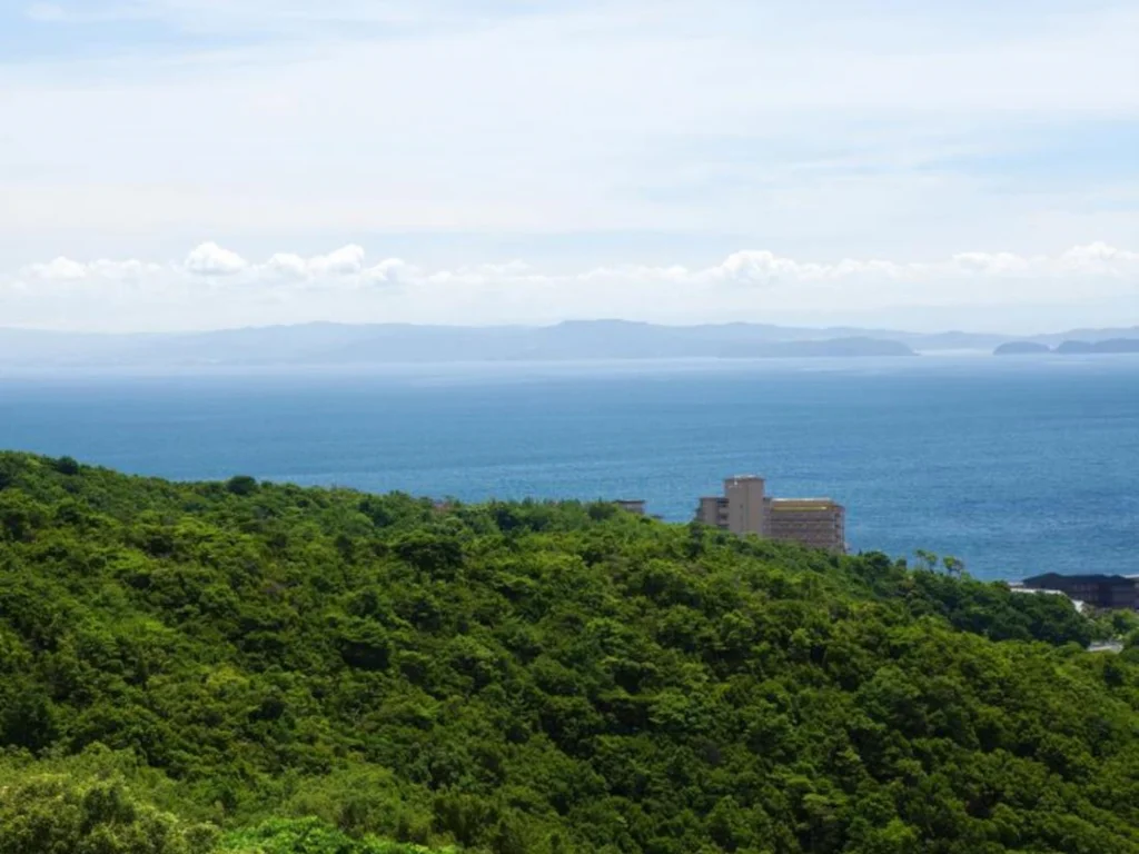 Hotel New Awaji - Sumoto Onsen awaji住宿照片 (4)