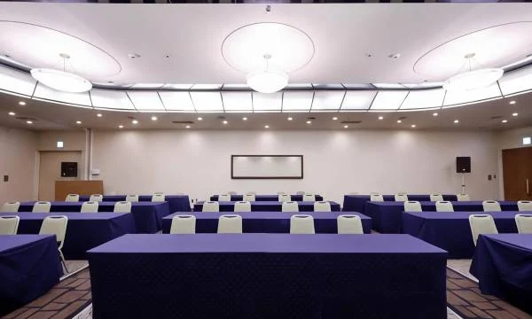 成田威可酒店（Hotel Welco Narita）酒店照片