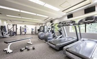 成田國際花園酒店（International Garden Hotel Narita）酒店照片