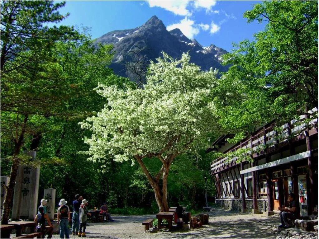 Kamikochi Myojinkan kamikochi住宿照片 (4)