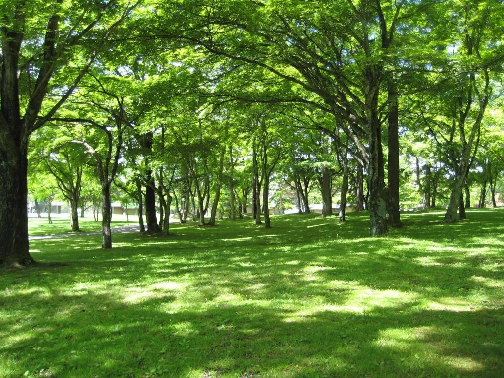 Karuizawa Prince Hotel West 輕井澤住宿照片 (4)