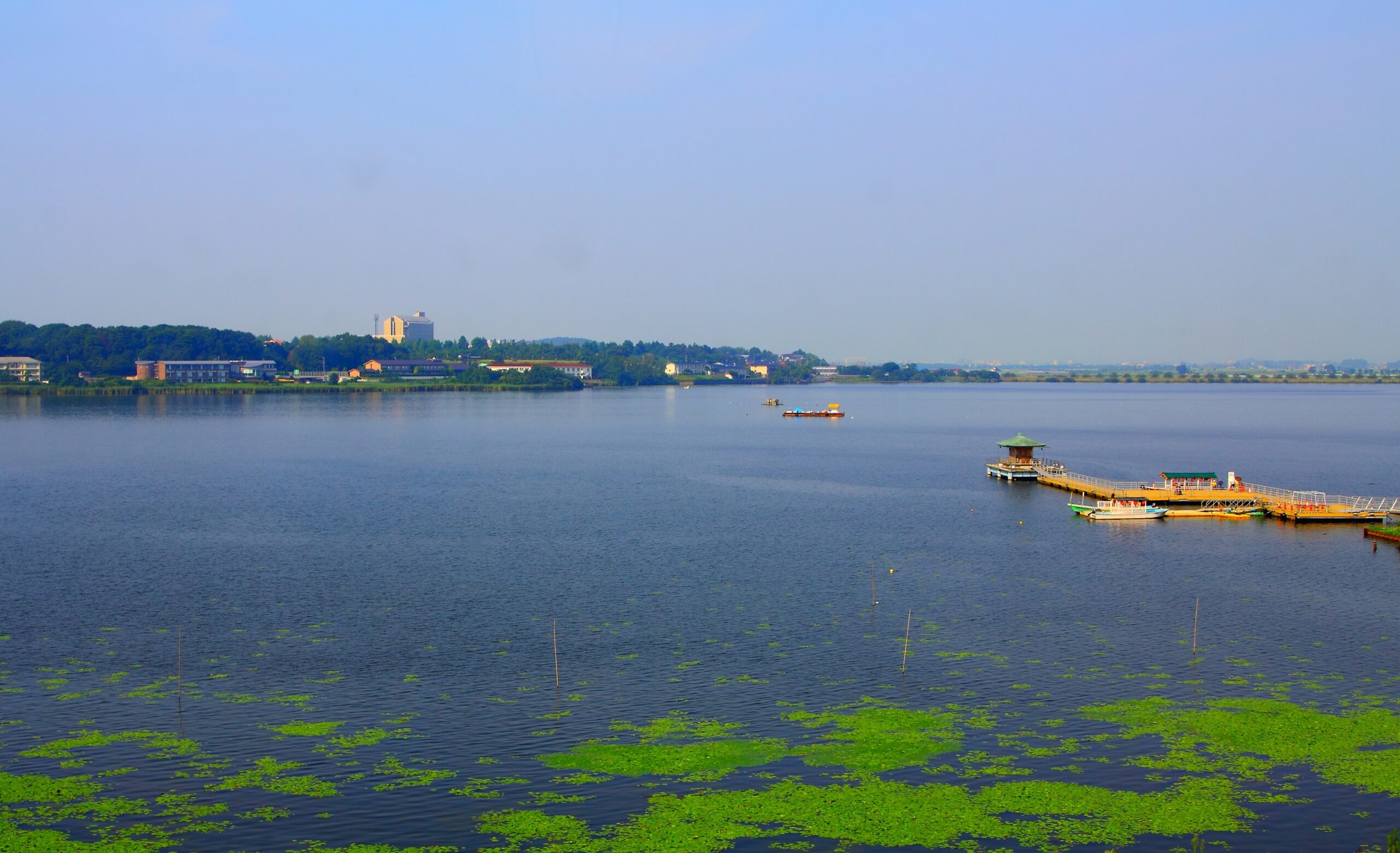 Katayamadu Shibayamagata