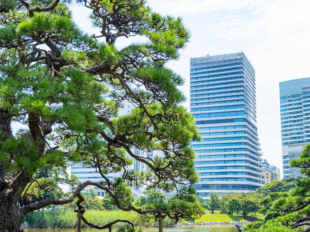 Mesm東京（Mesm Tokyo Autograph Collection）酒店照片 5/5