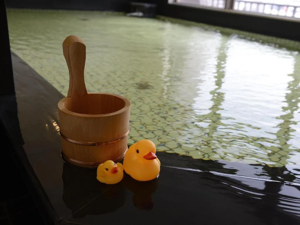 天然溫泉御堂筋酒店（Natural Hot Spring Midosuji Hotel）酒店照片 3/5
