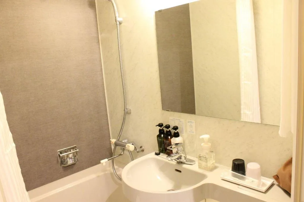 西鐵INN新宿（Nishitetsu Inn Shinjuku）酒店照片 2/5