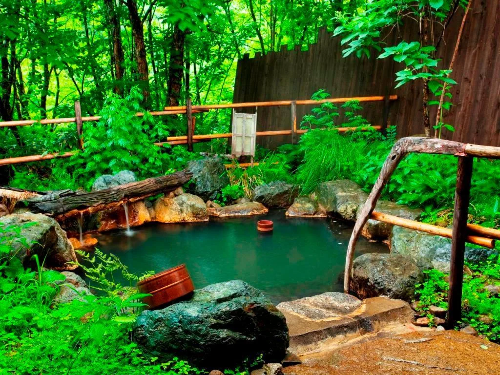 Okuhida Hot spring Miyama Ouan 高山住宿照片 (4)