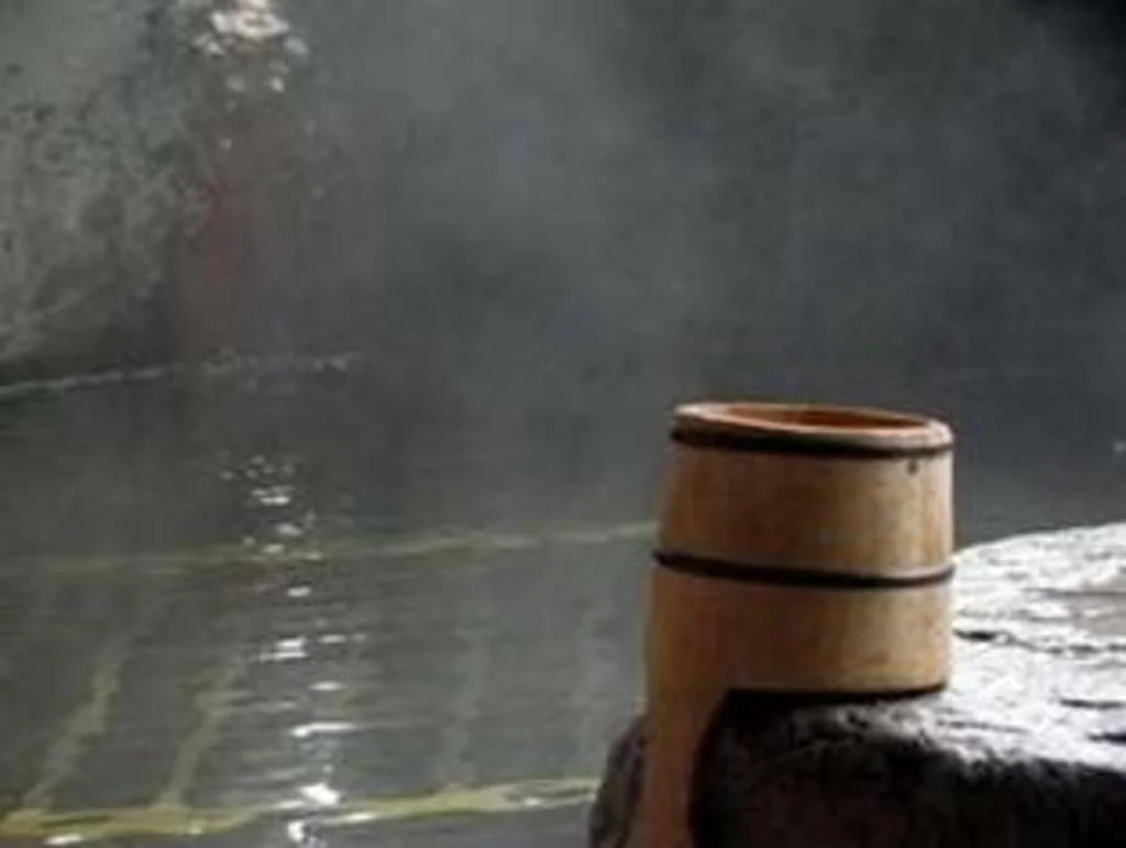 Okuhida Onsen Matsunoi 高山住宿照片 (3)